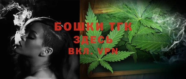 стафф Арсеньев